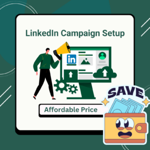 Linkedin Campaign Setup